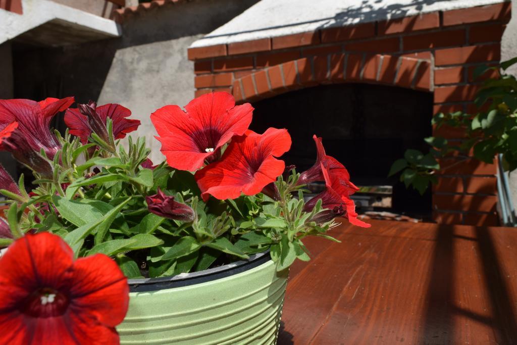 Peter Pan Apartments Palit Ngoại thất bức ảnh